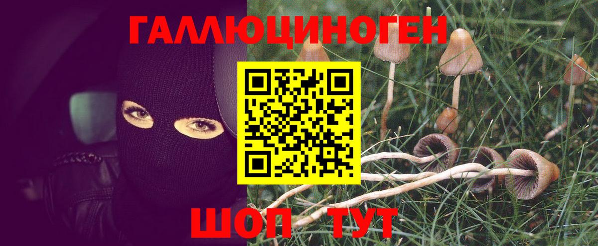 Галлюциногенные грибы мицелий  Вход с VPN  Сатка 