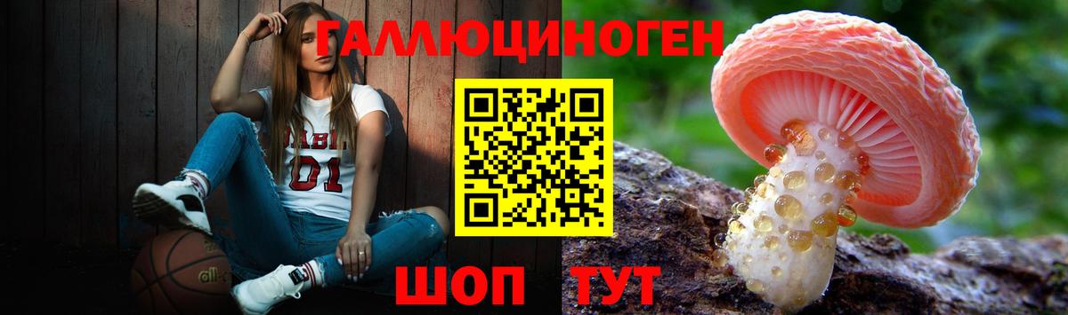 Галлюциногенные грибы прущие грибы Сатка